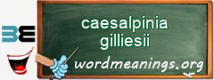 WordMeaning blackboard for caesalpinia gilliesii